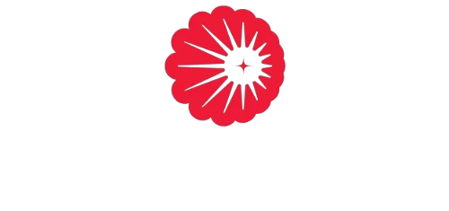 joysun