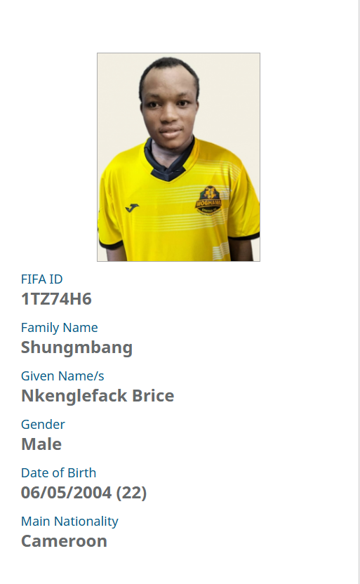 Nkenglefack Brice